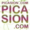 Picasion