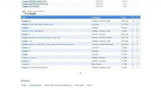 Picktorrent screenshot