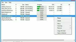 PicoTorrent screenshot