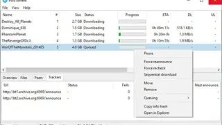 PicoTorrent screenshot