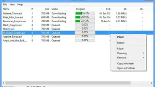 PicoTorrent screenshot