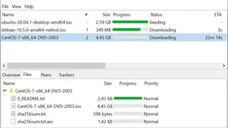 PicoTorrent screenshot