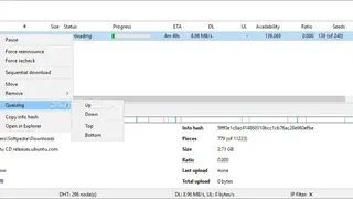 PicoTorrent screenshot