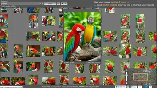 PicsLikeThat screenshot