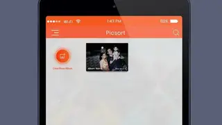 PicSort Gallery screenshot