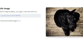Picsum Photos screenshot