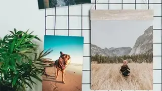Picta Photo Print screenshot