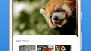 Picture Animal screenshot