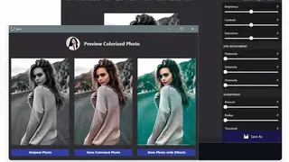 Picture Colorizer screenshot
