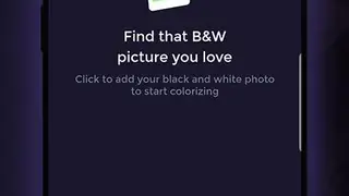 Picture Colorizer screenshot