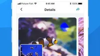Picture Fish screenshot