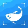 Picture Fish