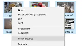 Picture Resizer screenshot