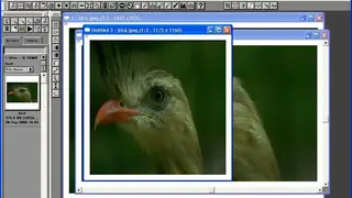 Picture Window Pro screenshot