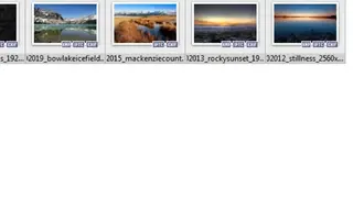 PictureBeaver screenshot