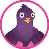 Pidgin