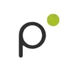 Pidoco
