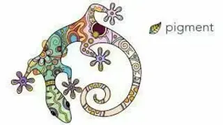 Pigment screenshot