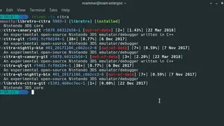 Pikaur screenshot