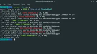Pikaur screenshot