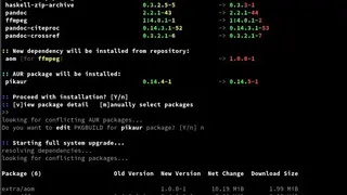Pikaur screenshot