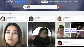 PimEyes screenshot