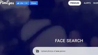 PimEyes screenshot