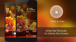 PIN LOCKER screenshot