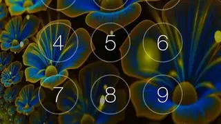 Pin Screen Lock screenshot