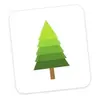 Pine