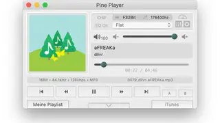 Pine Player screenshot