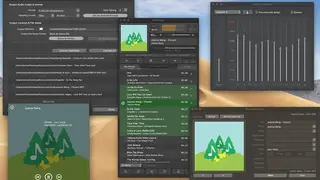 Pine Player screenshot