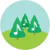 Pine Player