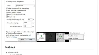 Ping Meter Gadget screenshot