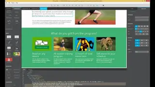 Pingendo screenshot