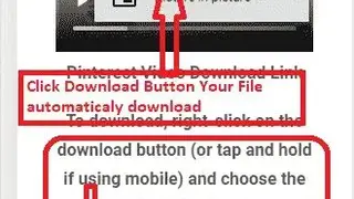 Pinterest Video Downloader screenshot