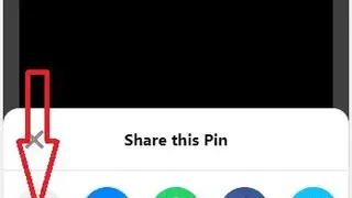 Pinterest Video Downloader screenshot