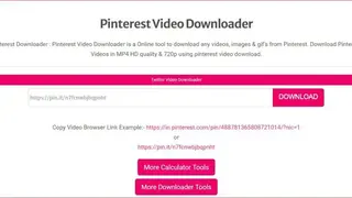 Pinterest Video Downloader screenshot