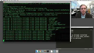 PiP for Mac screenshot
