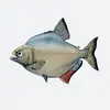 Piranhas