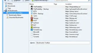 PirateBrowser screenshot