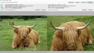Pixiple screenshot
