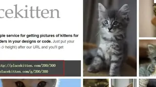 Placekitten screenshot