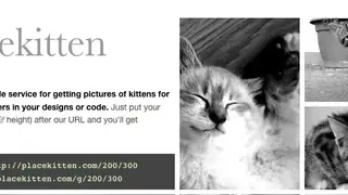 Placekitten screenshot