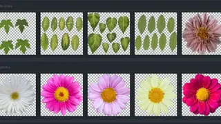 Plaintextures screenshot