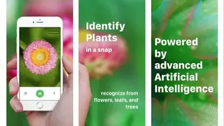 Plant Identification screenshot