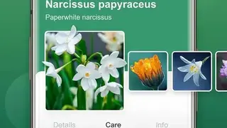 Plant Lens screenshot