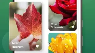 Plant Lens screenshot