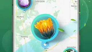 Plant Lens screenshot