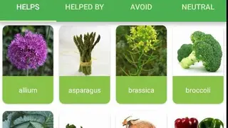 Plantassoc screenshot